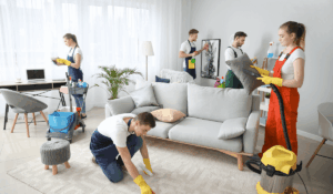 Cleaners Cleaning apartament